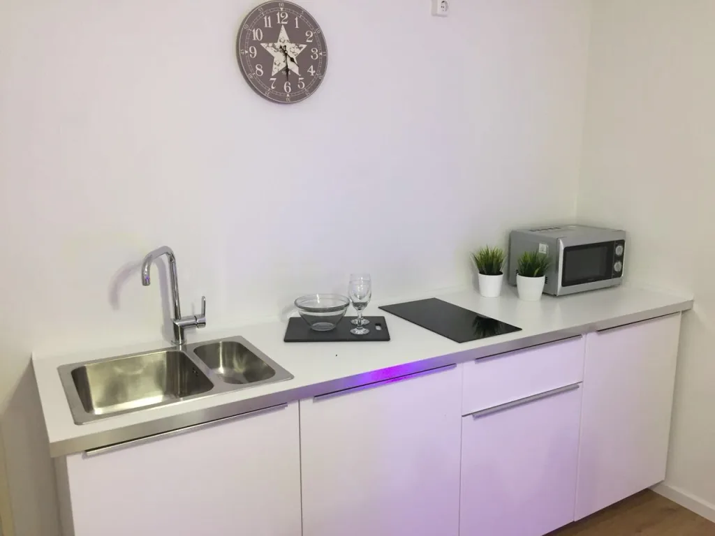 Küchenzeile der Wohnung 0.1 mit Spüle, Kochfeld und Mikrowelle