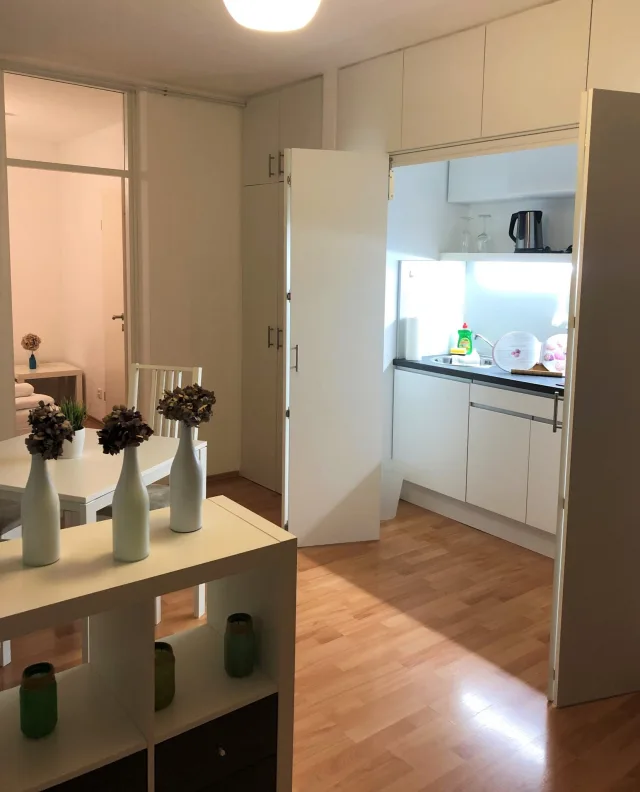 Blick durch die Wohnung 2.1 in die Küche