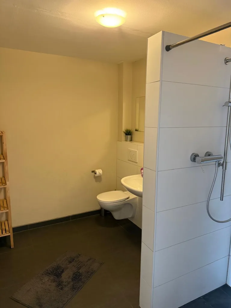 Badezimmer der Wohnung 6 mit Dusche, WC und Waschbecken