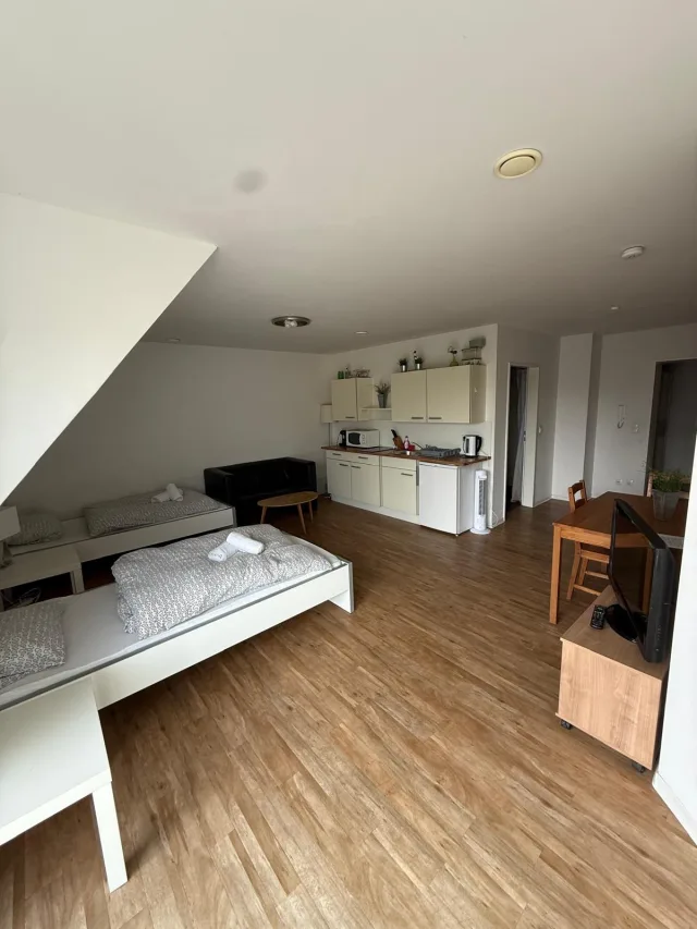 Offener Wohn-, Schlaf- und Küchenbereich der Wohnung 6 mit zwei Einzelbetten, Sofa und Esstisch