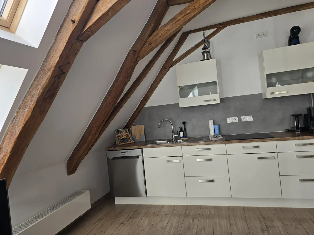 Küche des Lemperlofts mit Backofen, Geschirrspüler und Arbeitsfläche
