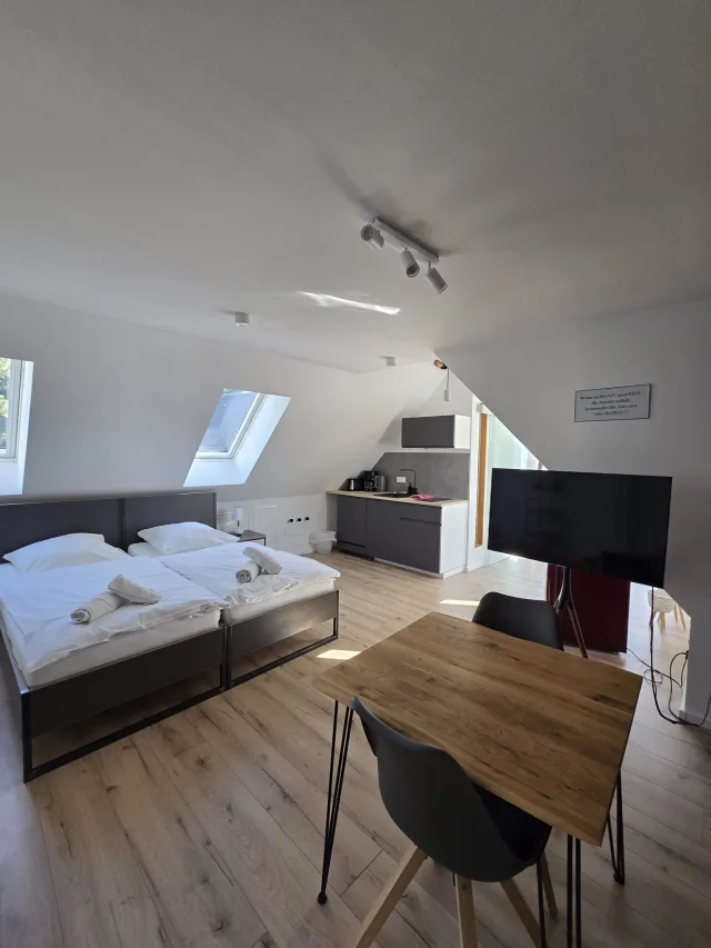 Wohnbereich des Münsternests mit Bett, Fernseher und Küchenzeile unter Dachschrägen